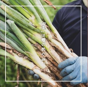 青果店 内装パネル（パネル）