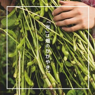 青果店 内装パネル（パネル）