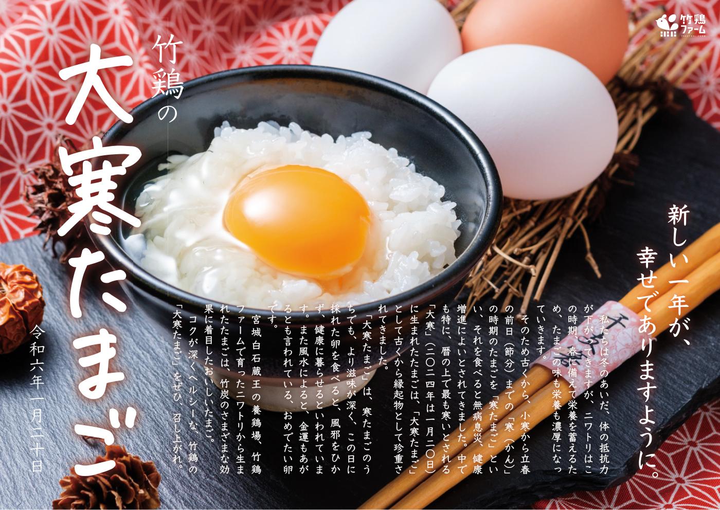 養鶏場 フェア折込チラシ（チラシ）