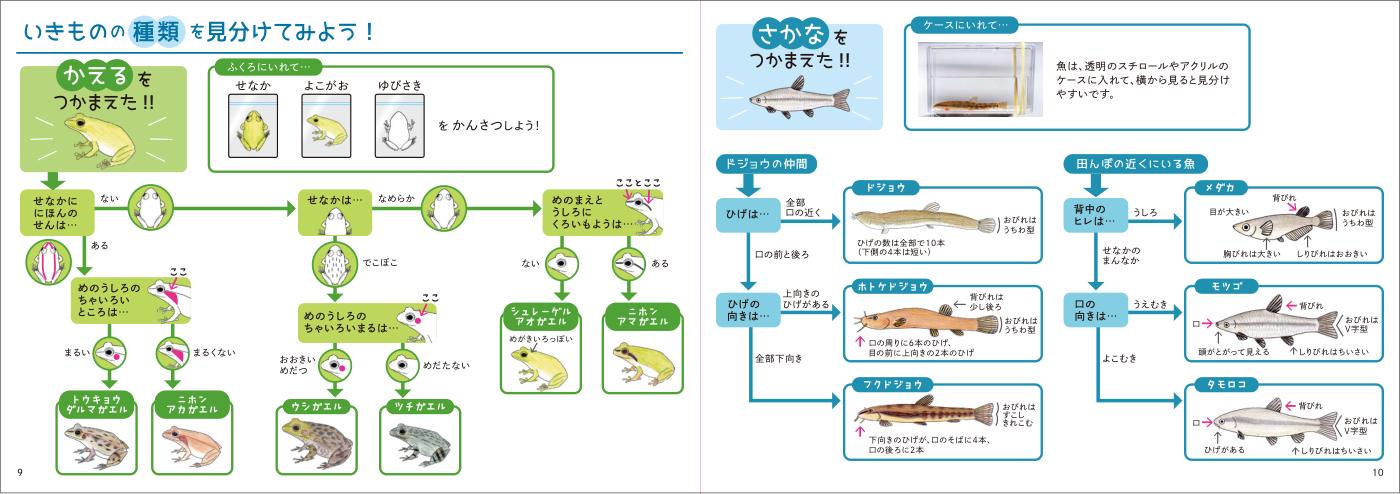 地域いきもの冊子（書籍／冊子）